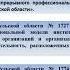 Организация работы ведущего наставника