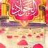 10 Rajab Status Wiladat Imam Taqi Status Imam Muhammad Taqi Status 2025