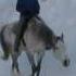 My Horse Merlin