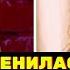 Девочка повзрослела Дарья Волосевич и что с ней стало Голос Дети