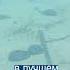 Чёрное Море Закроют До 2026