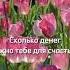 А вам что нужно для счастья 05 01 25 а4 счастье врекомендации
