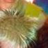 Kajagoogoo Too Shy 12 Extended Version HD