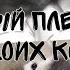 няшный плейлист для твоих котиков 1