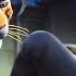 THE TIGER S APPRENTICE TRAILER 2 NEW 2024