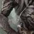 Diablo III Reaper Of Souls Malthael