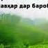 Хочи мирзо хаки шавхар
