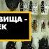 Детский эфир Хитиновые сокровища коллекции бабочек и жуков в рамках рубрики Путешествия с натур