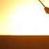 Dune Part Two 2024 4K Paul Atreides Vs Feyd Rautha Knife Fight Movieclips