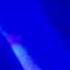 Sensation White Budapest 2008 Hamvai Pg Vs Barany Attila I