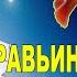 Муравьиная ферма Видео как собрать муравьиную ферму