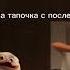 Мадагаскар