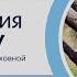 Гармонизация Энергии Кету Кету Южный Лунный Узел Практики и рекомендации по гармонизации Кету