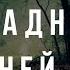 Всадник вечерней порой Война с неведомым 102