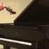 NeoPhantom Viva La Vida Coldplay Cover