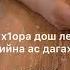 Жима дог са хьуна цхьанна деттало