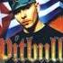 Pitbull We Don T Care Bout Ya Ft Cubo M I A M I