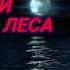 АТМОСФЕРА НОЧНОГО Леса СВЕРЧКИ ЗВУКИ СОВЫ СЛУШАЙТЕ ДЛЯ СПОКОЙНОГО СНА И МЕДИТАЦИИ RELAX