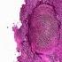 Nicki Minaj Only Feat Drake Lil Wayne Chris Brown Audio