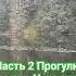 Владимир Песня Летний Дождь 2024 прогулка в Норвегии Shorts любимые песни хитоваяпесня