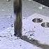 4341 8 0 Multi Cutting Edge Tip Drilling On 7 5mm Stainless Steel