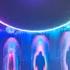 Live And Let Live Peter Gabriel Toronto Canada September 11 2023