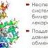 Лекция 14 БИОХИМИЯ КРОВИ