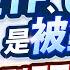 高股息ETF 0050是被動型 今年主動型ETF更會飆 謝晨彥 鐘崑禎 莊佳螢 2025 6 10