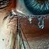Deine Augen