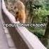 сорок лет как под наркозом я работал говновозом
