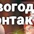 импровизаторы дурачатся в контактах нарезка новогодних контактов