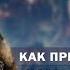 Как привлечь удачу и стать успешным Шаманский транс Алла Громова