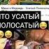 что УСАТЫЙ ПОЛОСАТЫЙ