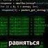 Integer Overflow часть 2 Programming Cybersecurity Hacker