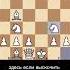 ЛОВУШКА 5 Скандинавская Защита Chess шахматы ловушка Trap