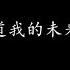 我不要知道我的未来 周华健 歌词版