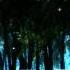 Muzzy Timberwolf Visuals By Elit3