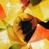 Depeche Mode Dream On Single Version Audio HQ