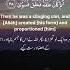 SURAH AL QIYAMA Beautiful Recitation Islam Islamic Quranrecitation Quran