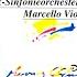 Symphony No 5 In B Flat Major D 485 II Andante Con Moto