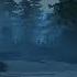 DARK FOREST Ambience Sounds Of Dark Misty Forest With Ambient Music