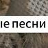 Песни для дороги моя подборка