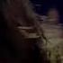 Let S Nacho Lyric Video Kapoor Sons Sidharth Alia Badshah Benny Dayal Nucleya