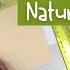 Oh Yes You Can Draw Nature Landscapes