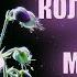 КОЛЫБЕЛЬНАЯ для Малышей 1 ЧАС Музыка для Сна Детей Детские Колыбельные Мелодии