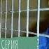 ПОШЛА В МАГАЗИН А ПОПАЛА В ОТДЕЛ ПОЛИЦИИ ДОБЛЕЕСТНЫЕ РЕЙНЖЕРЫ ЮРИКА ЗОЗУЛИ ПРОТИВ ЖЕНЩИНЫ 1 серия