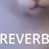 Huh Cat Meme Sound Effects Catmusic Huh Confused Whitecat Soundeffects Cutecat Flp Project