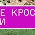 Новости из мира кроссовок от магазина Sneakerhead Union LA Oakley Nike Vans Converse Adidas