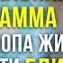 ГОРОСКОП ЕЛИЗАВЕТЫ 2 АНОМАЛЬНАЯ ПРОГРАММА ЖИЗНИ И СМЕРТИ АСТРОЛОГ АЛЕКСАНДР ЗАРАЕВ 09 09 2022