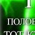 Салли Грин Половинный код Тот кто спасет